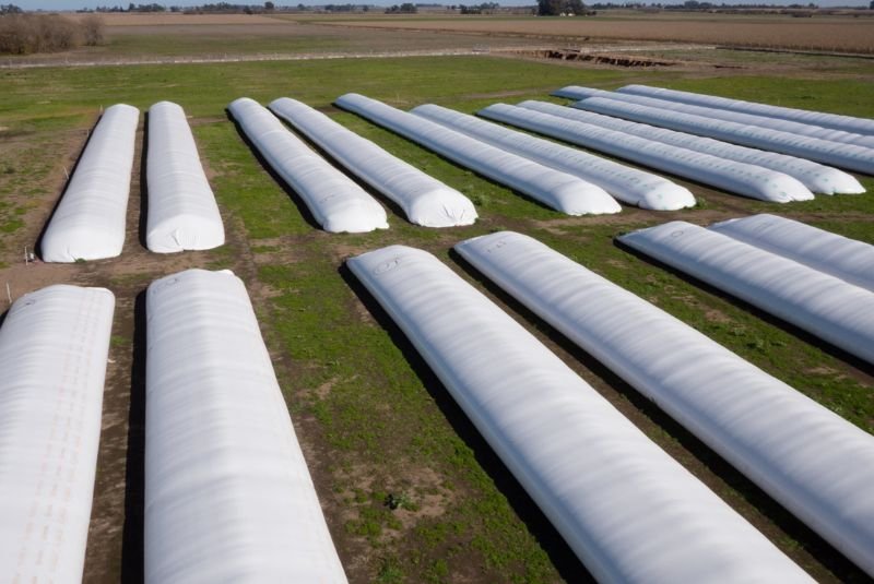 Más del 40 % de la producción nacional se conserva en silobolsas